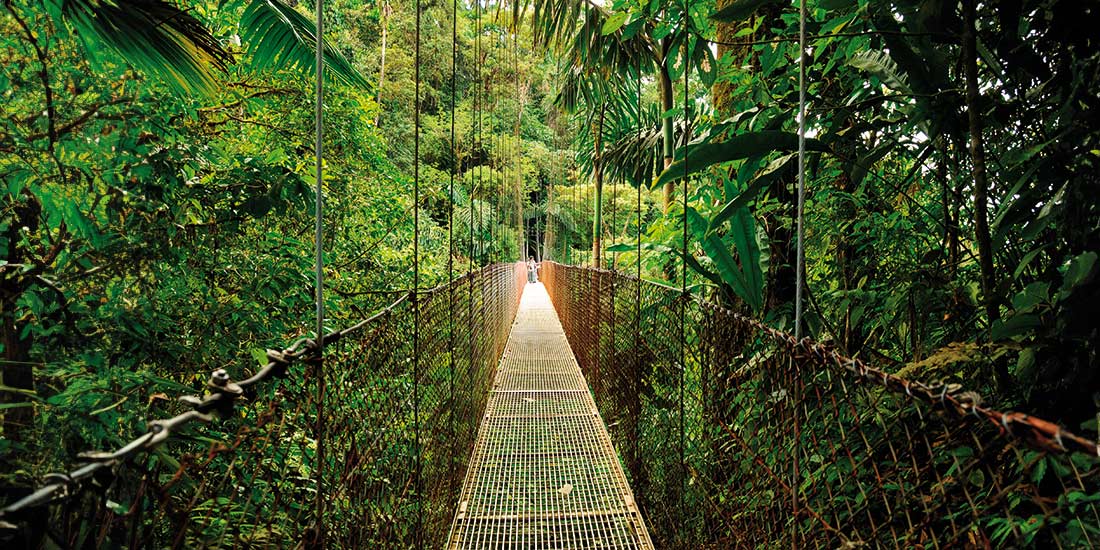 Walk through the treetops in Arenal Volcano National Park